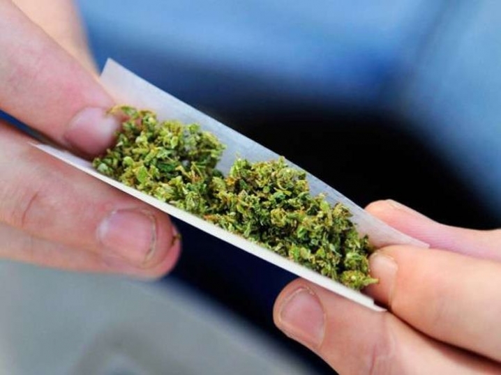 Отравления марихуаной конопля которая не содержит наркотиков
